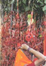 Ambaji - The Biggest Shakti Tirth