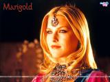 Marigold (2007)