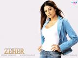 Zeher (2005)