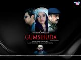 Gumshuda (2010)