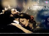 Guzaarish (2010)