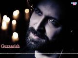 Guzaarish (2010)