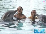 Blue (2009)