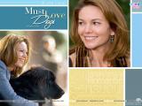 Must Love Dogs (2005)