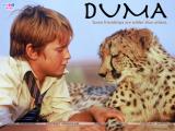 Duma  (2005)