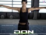 Don (2006)