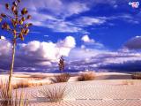 Deserts